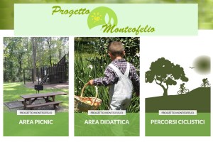 Immagine 2021-07-27 1407341 2